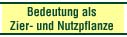 Bedeutung als Zier- und Nutzpflanze